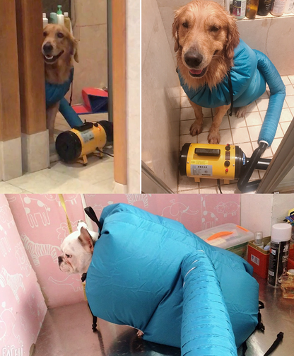 Pet Drying Box with Dryer Bag