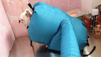 Pet Drying Box with Dryer Bag