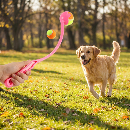 Outdoor Pet Throwing Cue Dog Training Toy lifestyle