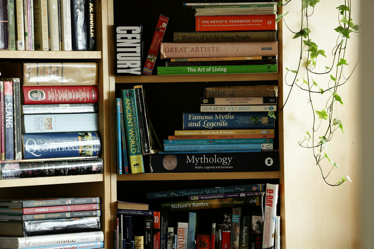 Organised shelves of everyday products